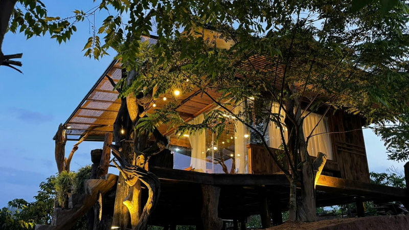 BAZANA Homestay and Garden (3)